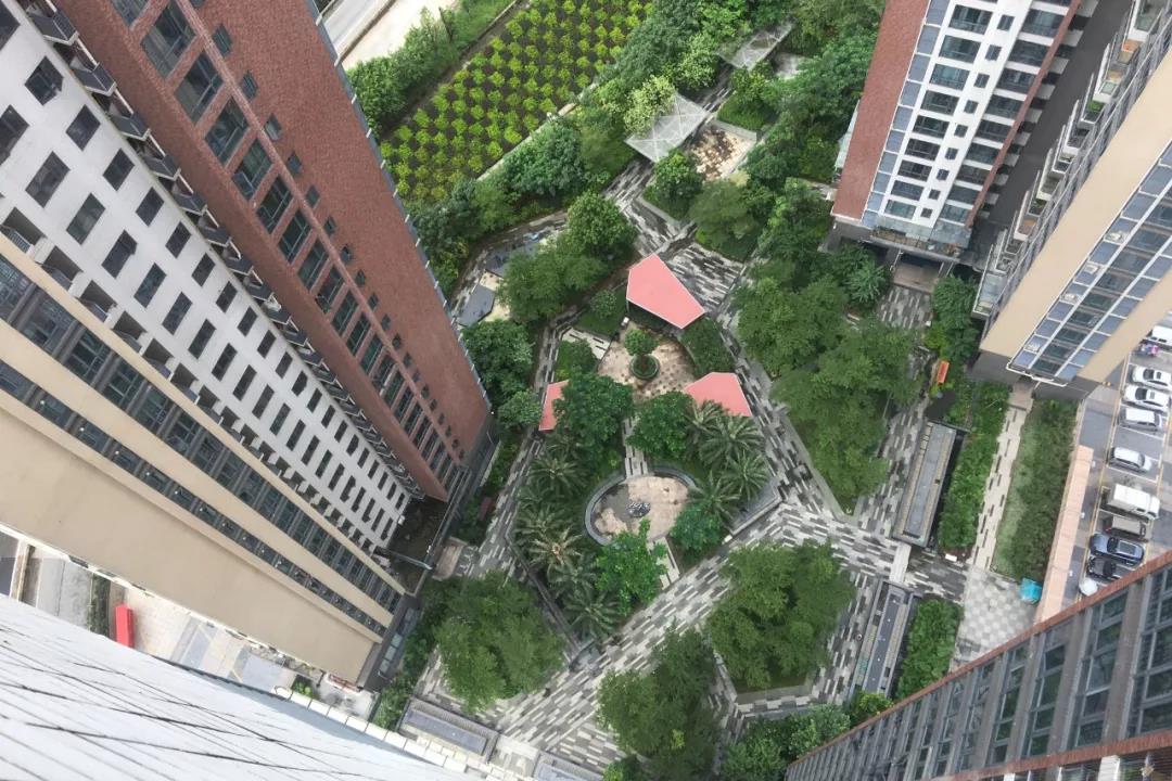 寰俊鍥剧墖_20191120100951.jpg
