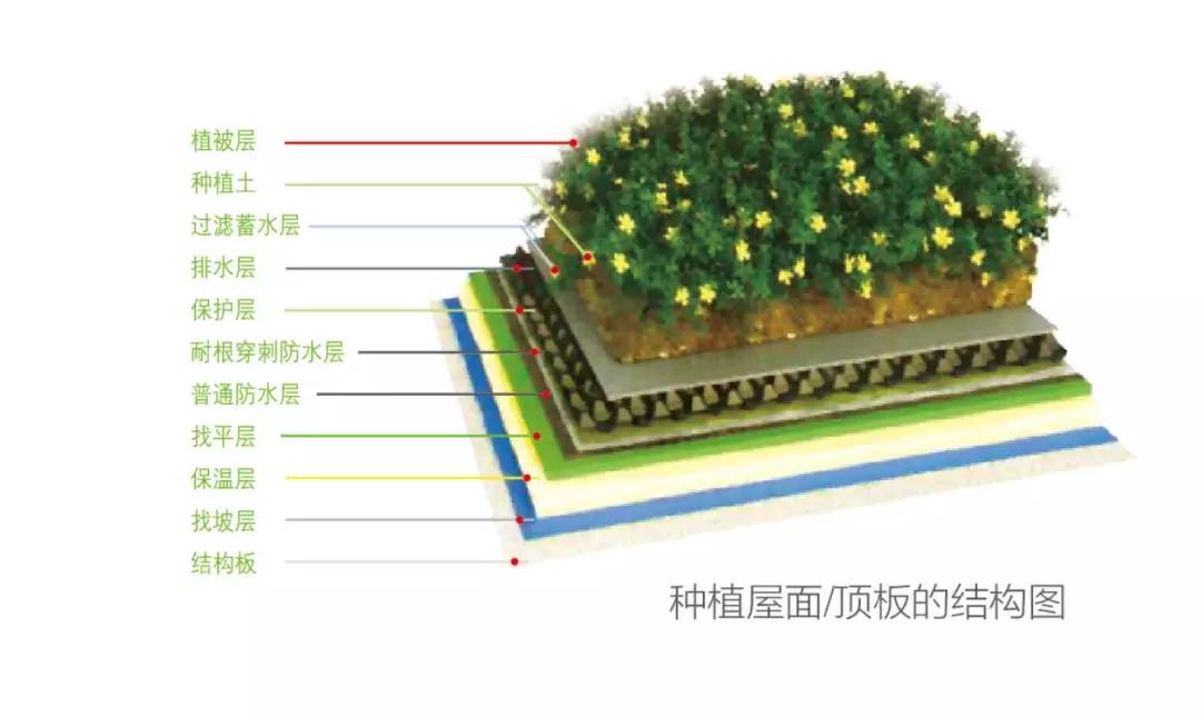 微信图片_20191122102729.jpg