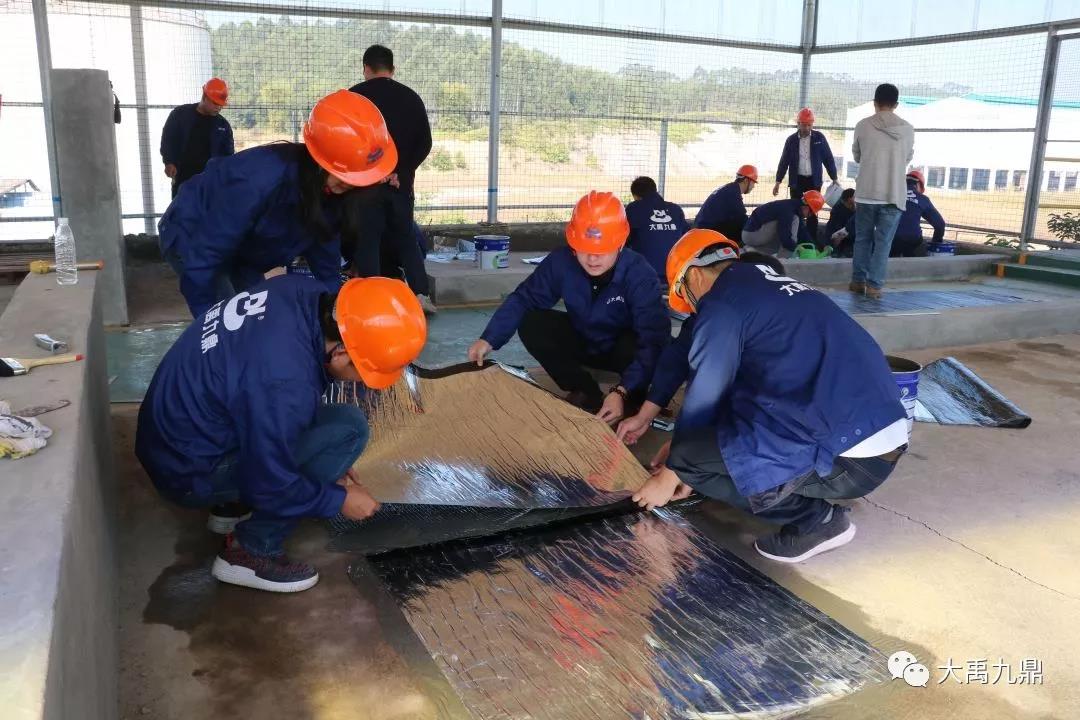 寰俊鍥剧墖_20191125161635.jpg