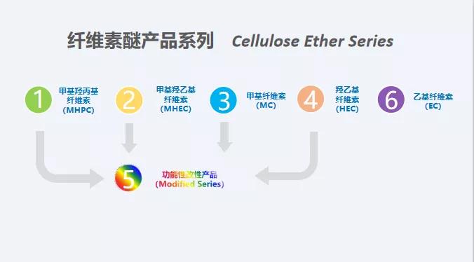 微信图片_20191231192943.jpg