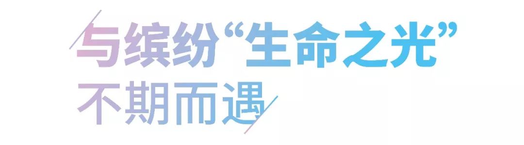 微信图片_20200106164159.jpg
