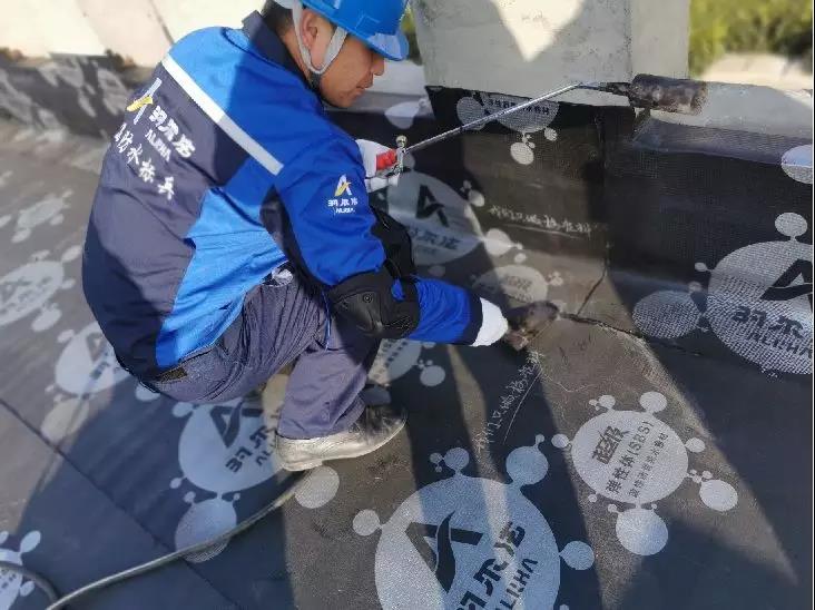 寰俊鍥剧墖_20200219100603.jpg