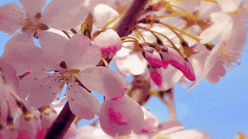 寰俊鍥剧墖_20200303094319 (1).gif