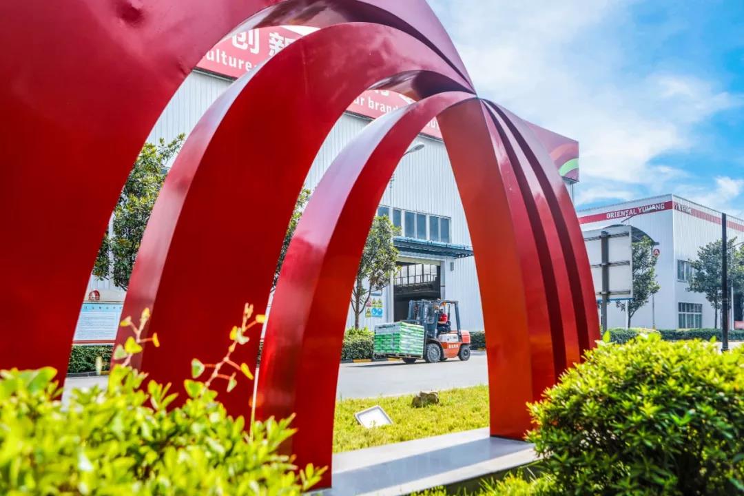 寰俊鍥剧墖_20190916181805.jpg