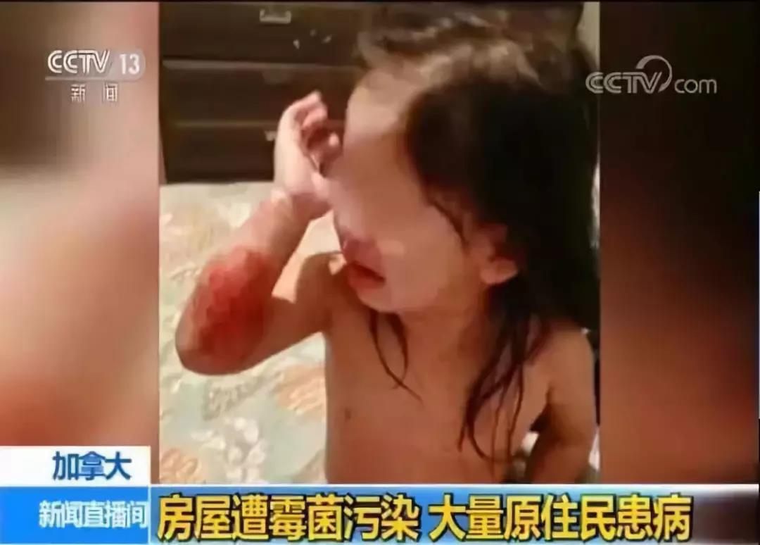 寰俊鍥剧墖_20190930105832.jpg