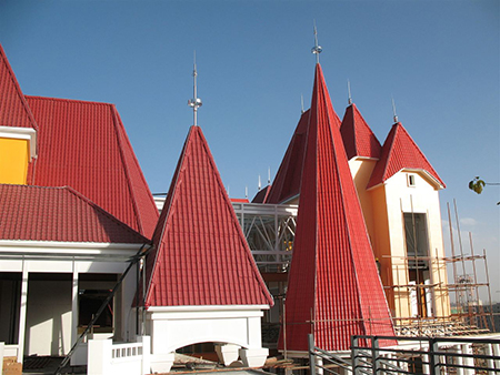 �ϳ���֬��ҵ�������ҹ���ѧ��ҵ��չ���ص�ս��