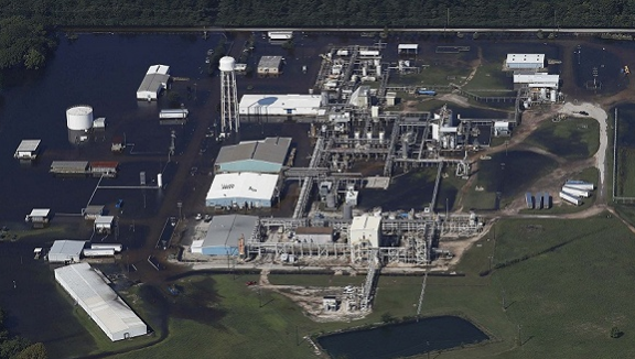 �����껯����