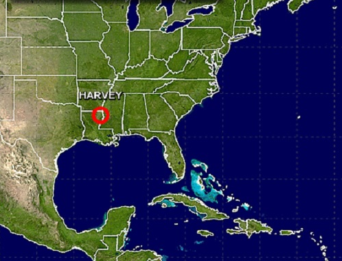 ���ϵȶ�һ���װ���ܡ���ά��Ӱ�����ͣ��