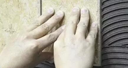 5.webp.jpg