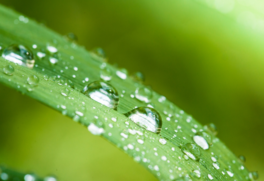 Recommended products:AMALCHEM Epoxy acrylate with fast curing and high hardness